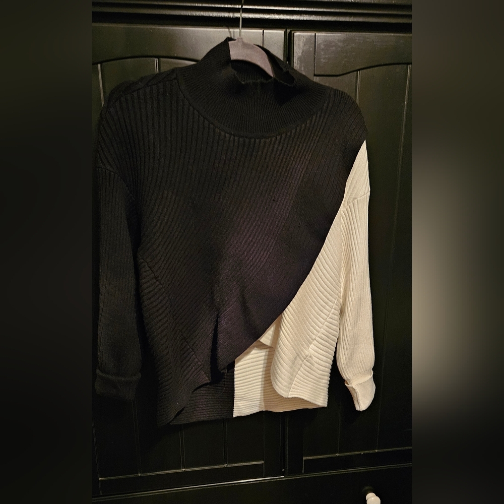 Express Two-Tone Black and Cream Turtleneck Sweater